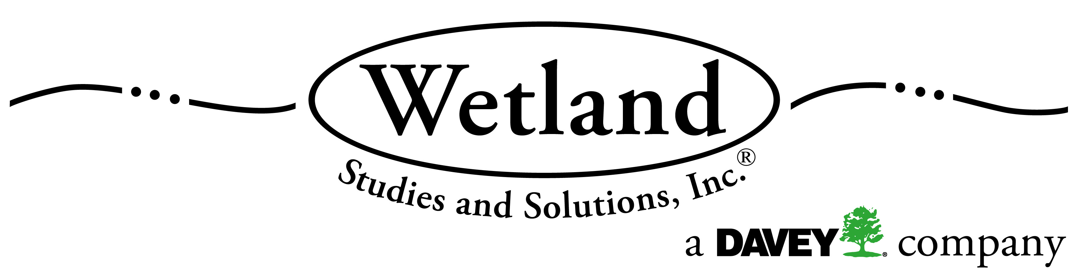 Wetland Studies