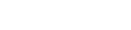 Wetland Studies and Solutions, Inc